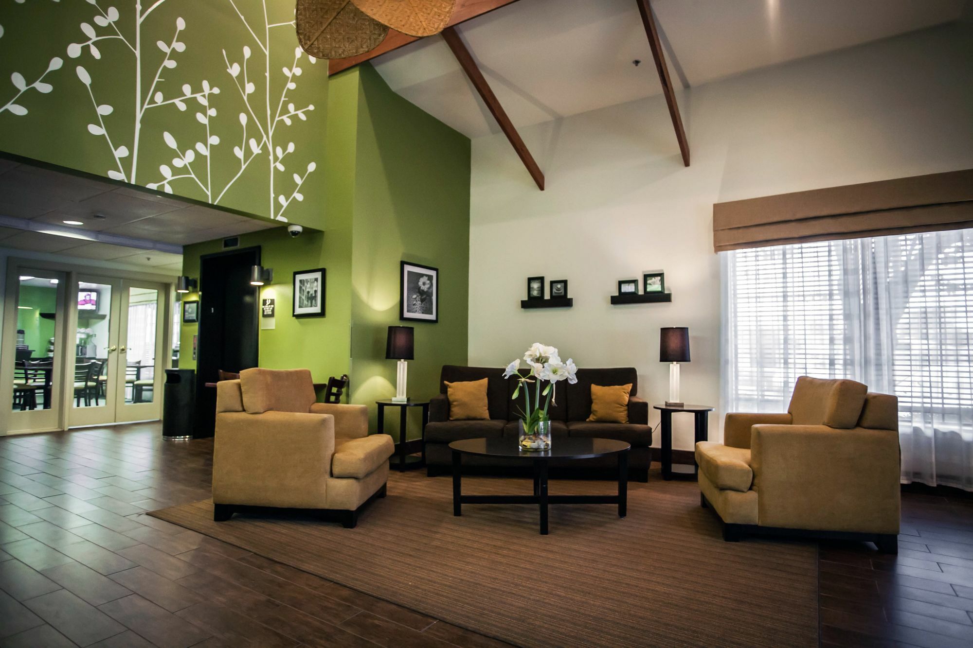 Sleep Inn & Suites Метайри Екстериор снимка